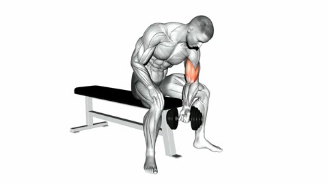 Dumbbell Concentration Curl
