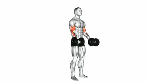 Standing Suponated Dumbbell Curl