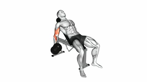 Incline Bench Dumbbell Curl