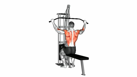 Cable Lat Pulldown